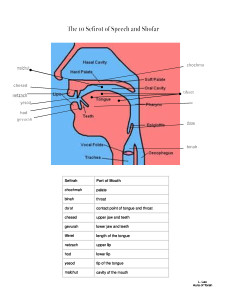 shofar-the-10-sefirot-of-speech-diagram-_2_